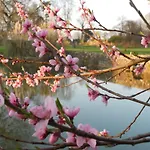 Le Logis D'equilly Bed & Breakfast