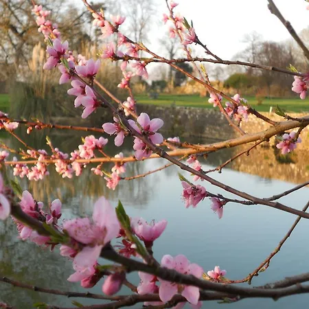 Le Logis D'equilly B&B