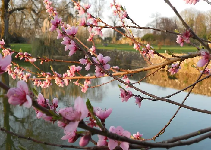 Le Logis D'equilly Bed & Breakfast